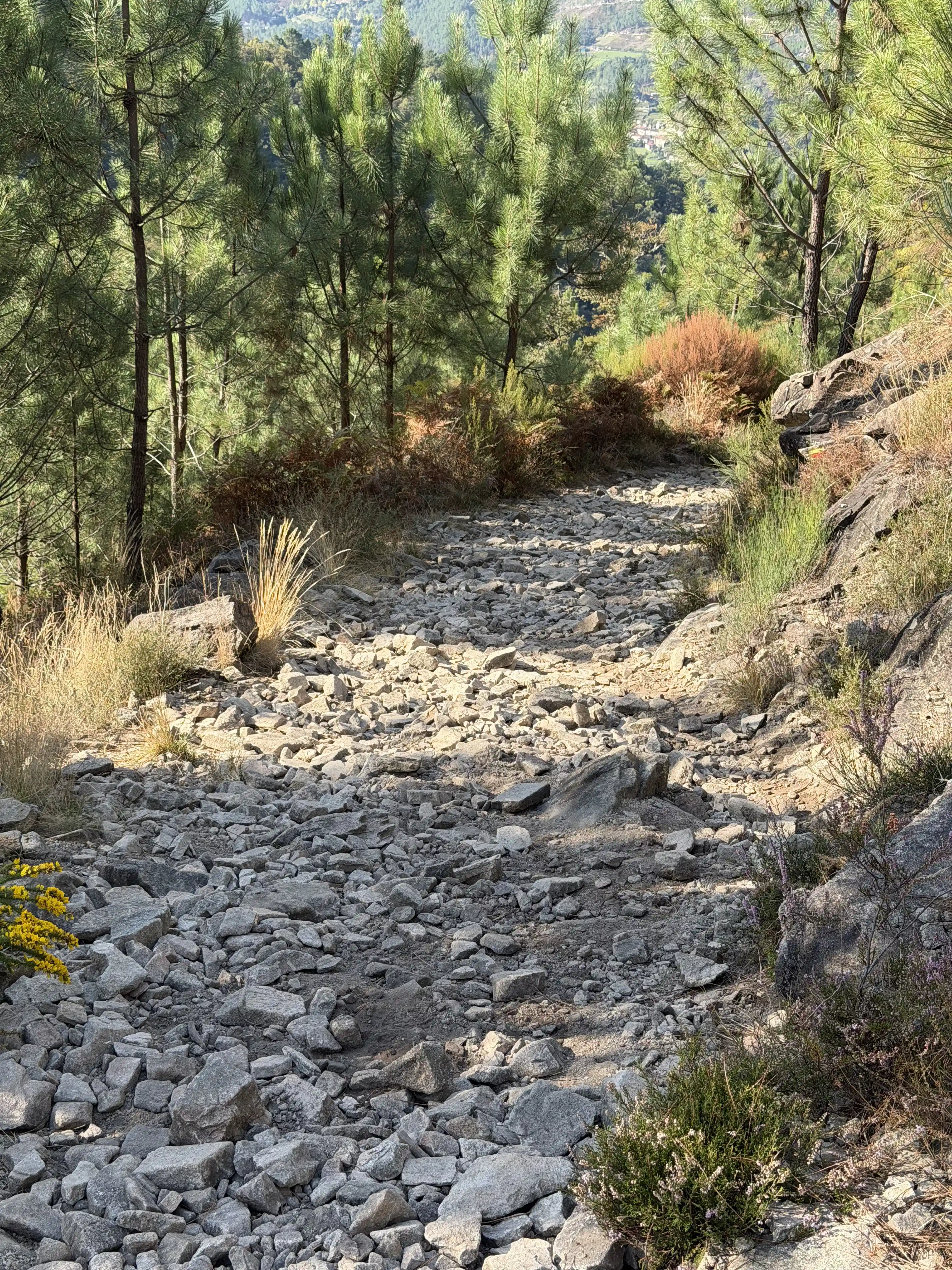 A rocky decline down a mountain littered with medium sized rocks.